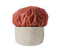 Windhager Voile Non tissé Hivernal Rouleau, Rouge, 1,6 x 10 m, 30g/m², 07918