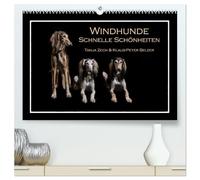 Windhunde - Schnelle Schönheiten (hochwertiger Premium Wandkalender 2026 DIN A2 quer), Kunstdruck in Hochglanz: Überblick über diverse Windhundrassen, ... im Fotostudio und mal nicht auf der Rennbahn