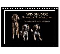 Windhunde - Schnelle Schönheiten (Tischkalender 2026 DIN A5 quer), CALVENDO Monatskalender: Überblick über diverse Windhundrassen, fotogrfaiert im Fotostudio und mal nicht auf der Rennbahn
