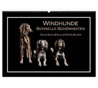 Windhunde - Schnelle Schönheiten (Wandkalender 2026 DIN A2 quer), CALVENDO Monatskalender: Überblick über diverse Windhundrassen, fotogrfaiert im Fotostudio und mal nicht auf der Rennbahn