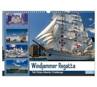 Windjammer-Regatta - Défi des grands voiliers de l'Atlantique, Version française (Calendrier mural 2026 DIN A3 portrait), Calendrier CALVENDO mensuel
