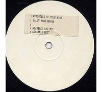 Windmills Of Your Mind - Sally Anne Marsh 12"