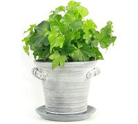 Window Garden Jardinière Rustique de 15,2 cm - Décoration d'intérieur en céramique. pour ou Herbes, Fleurs, Succulentes. Joliment emballé