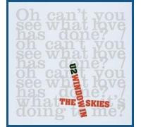 Window In The Skies -Dvds - U2