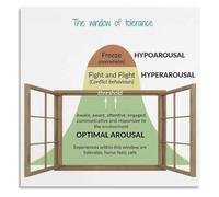 Window of Tolerance Clinical Poster Trauma Informed Practice Tool