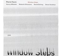 WINDOW STEPS