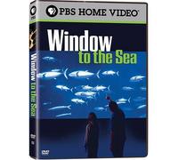 Window to the Sea [Import USA Zone 1]