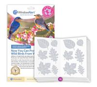 WindowAlert Leaf Medley Lot de 4 décalcomanies anti-collision - Autocollants de fenêtre réfléchissants UV pour protéger les oiseaux sauvages contre les collisions de verre - Fabriqué aux États-Unis