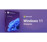 Windows 11 Enterprise