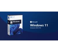Windows 11 Enterprise 2024 LTSC