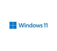 Windows 11 Home 1 licence(s)