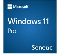 Microsoft Windows 11 Pro 1 Licence(S)