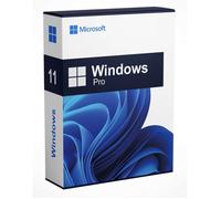 Windows 11 Pro - clé d'activation - 1 PC