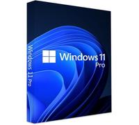 Windows 11 Pro - clé d'activation - 1 PC