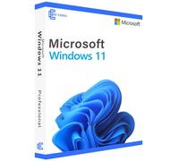 Microsoft Windows 11 Pro OEM