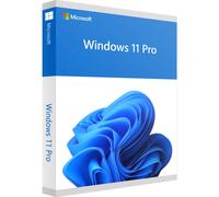 Windows 11 Professionnel