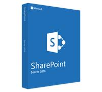 Windows Server 2016 - 1 User CAL