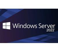 Windows Server 2022