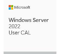 Hewlett Packard Enterprise Microsoft Windows Server 2022 Licence d'accès client 1 licence(s)