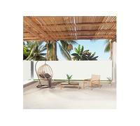 Vidaxl Auvent Latéral Rétractable Crème 160x1000 Cm