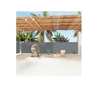 Vidaxl Auvent Latéral Rétractable Anthracite 160x1200 Cm