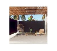 Vidaxl Auvent Latéral Rétractable Noir 180x600 Cm Noir