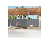 Auvent Latéral Rétractable Anthracite 160x1000 cm Protection Store vidaXL