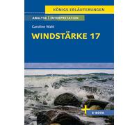 Windstärke 17 von Caroline Wahl: Textanalyse und Interpretation