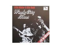 Windy City Blues : Live In Chicago