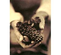 Wine, Food & the Arts: Works Gathered by the American Institute of Wine and Food (1)