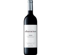 Wine & Soul Pintas Douro Character Tinto 2022 0.75l