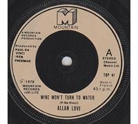 WINE WON'T TURN TO WATER 7" (45) UK MOUNTAIN 1978 SILVER LABEL DESIGN B/W FOOL FOR YOU (TOP41)