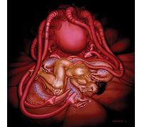 Hide Flesh for the Living – Vinyle 12" Single – East West Samples