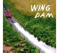 Wing Dam - Glow Ahead [Vinyl]