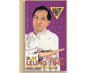Wing Tsun. Correcto o Incorrecto? [DVD]