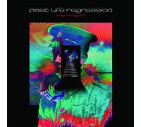 Wingard, Adam - Past Life Regression O.S.T.