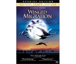 Winged Migration (Special Edition) by Philippe Labro