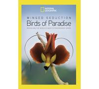 Winged Seduction: Birds of Paradise