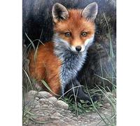 Wingkin adultes broderie point de croix kits bébé renard DIY débutant canevas point de croix kit 11CT toile pré-imprimé noel décoration de la maison （40x50cm）