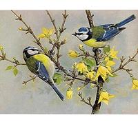 Wingkin adultes broderie point de croix kits mésange DIY débutant canevas point de croix kit 11CT toile pré-imprimé noel décoration de la maison （40x50cm）