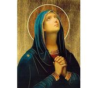 Wingkin adultes broderie point de croix kits Religion Vierge Marie DIY débutant canevas point de croix kit 11CT toile pré-imprimé noel décoration de la maison （40x50cm）