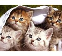 Wingkin Kit Broderie Point de Croix Estampé quatre chatons DIY Adultes Débutant Compté Point de Croix Kits 11CT Pré Imprimé Canevas art broderie-40x50cm