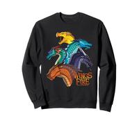 Wings of Fire Dragon Heads Sweatshirt