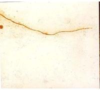 Wings Of Lead Over Dormant Seas - Edition Limitée Digipak