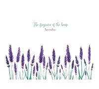 Winhappyhome Purple Lavande Mur Art Autocollant pour Chambre Salon Verre FenêTre Fond Amovible DéCor Stickers