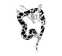 Winhappyhome Python Wall Art Autocollant Pour Chambre Salon Amovible DéCor Decal