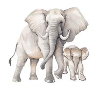 Winhappyhome Stickers muraux pour chambre à coucher, salon, chambre d'enfant Motif éléphant