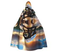 WINHGA Veste à capuche pour adulte Motif tortue sur un rocher