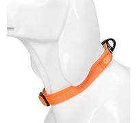 WINHYEPET Colliers pour Chien True Love 4 Couleurs 4M Collier Réfléchissant pour Petits Moyens Grands Chiens Chiot Réglable Rembourré Doux Nylon Cou Confortable TLC5271(Orange,L)