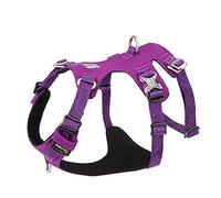 WINHYEPET Harnais pour Chien en Tissu Imperméable(Violet,M) | Harnais pour Chien en Sangle de Nylon Haute Densité, Léger, en Forme de H Double, Avec Broderie, 5 Positions Réglables